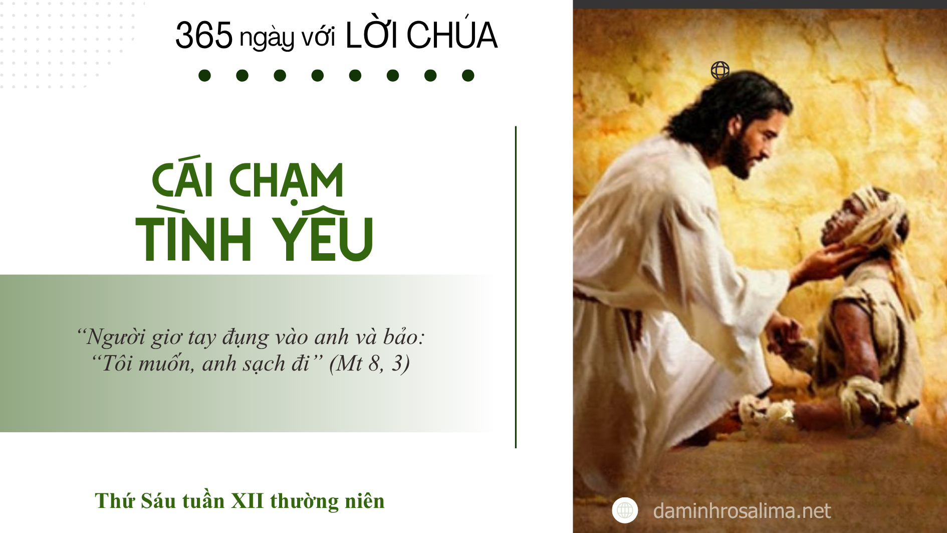 Thứ Sáu tuần XII thường niên